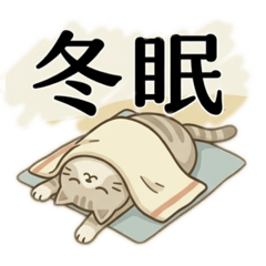 午後的慵懶隨筆