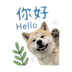 KarloHung_20260328001031