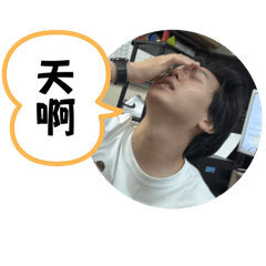 何爸爸與他的狗兒子們3.0