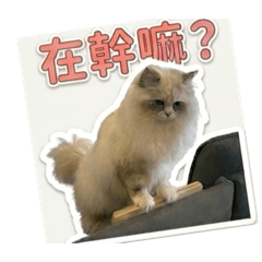 咘咘悠哉日常2