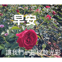 早安問候語、花