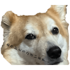 maron_20260325093115