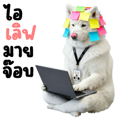 เจ้าหมาขาว ❤️ ตัวตึงออฟฟิศ