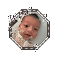 Kahiwa_3318_20260328131803