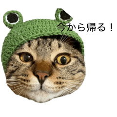 achaa_20260328132655