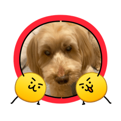 taekal_20260328134356