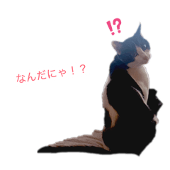 nozomi_20260328135638