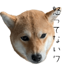 UchuShikou Lab_20260328142246