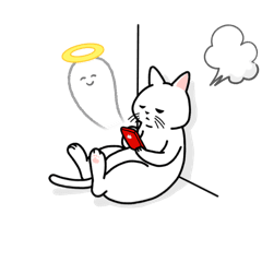 akari_20260328142703