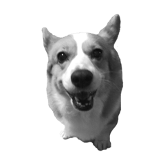 i4kawa_20260328142612