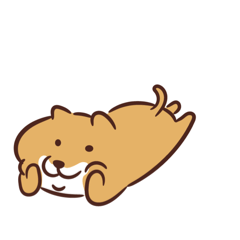 akari_20260328142544