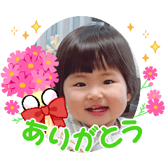 shake_20260328141912