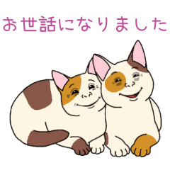 PAKAMOGOLY_20260328143720