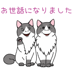 PAKAMOGOLY_20260328143919