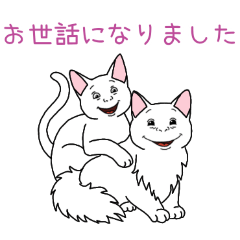 PAKAMOGOLY_20260328144538