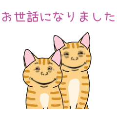 PAKAMOGOLY_20260328144035