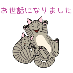 PAKAMOGOLY_20260328144133