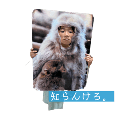 akameeee_20260328143845