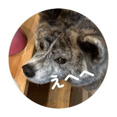 meronnpann_20260328141540