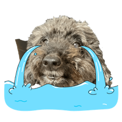 Shiho_20260328143351