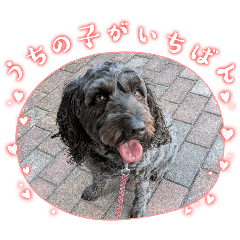 aki26850_20260324055205