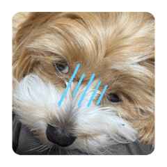 OTKAKU_20260328161656