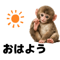 Little Monkey Moments