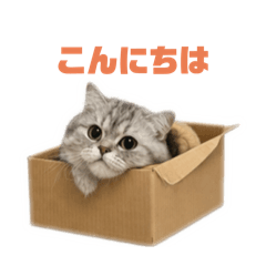 kanna_20260328162811