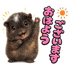 yoko_w_20260328163226