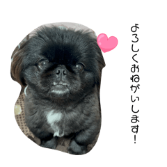 AYUMI_20260328151817