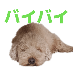 RINTA_20260328154315