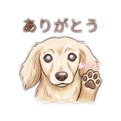 kurumin_20260328160330