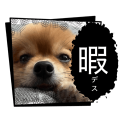 KATOU_20260328160517