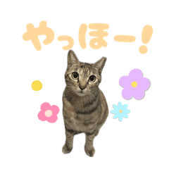 zaramenyan_20260328160547