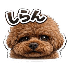 yukicha_20260328172445