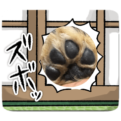 niiyama5021_20260328160323