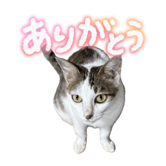 Yuki Sakai_20260328173649