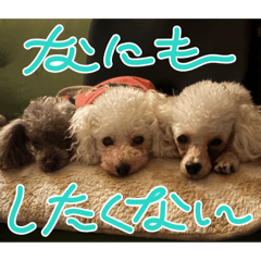 Lotus_20260328160335