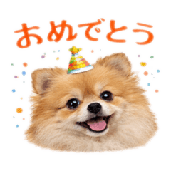 Moko Pomeranian Stickers2