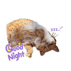 Natsuki_20260328174051