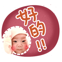 Yunfei Baby's Stickers