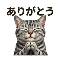 Yukky_20260328170906