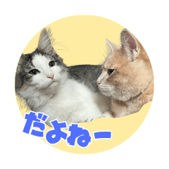 Soiree&Matinee_20260328171345