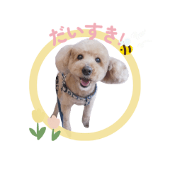 ralfland_20260328191211