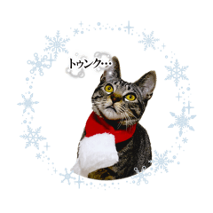 osinasan_20260328191134