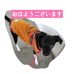 komuri_20260328190731