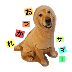 shimahana_20260328191412