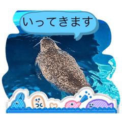 harumi sn_20260328221242