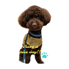 Love marron_20260328191003