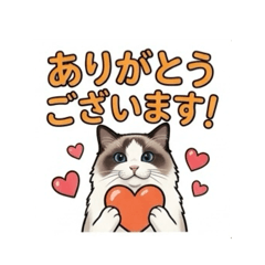 Ragdoll stamp "marony"